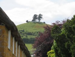 View towards Colmers Hill above Symondsbury, Dorset Wallpaper