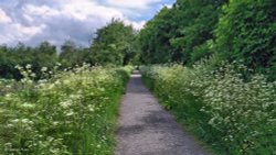 North Dorset Trailway Wallpaper