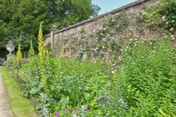 Polesden Lacy Garden Wallpaper