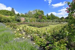 Polesden Lacy Garden Wallpaper