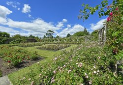 Polesden Lacy Garden Wallpaper