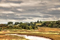 Budleigh Salterton's Otter Mouth Wallpaper