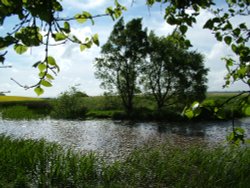 Tanfield's pond Wallpaper