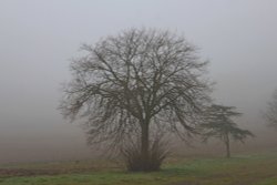 Misty Mutter Moor Wallpaper