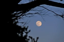 Full moon in Budleigh Wallpaper