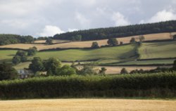 Countryside around Carhampton Wallpaper