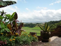 Dunster Castle Wallpaper