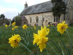 St. Andrew's church in spring Wallpaper