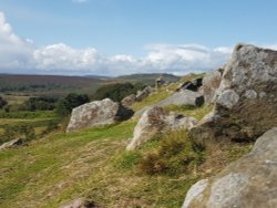 Walk with a view, longshaw estate. Wallpaper