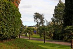 Bicton exit view Wallpaper