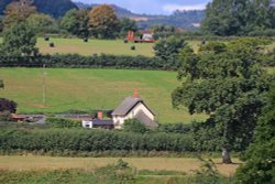 East Budleigh rural idyll Wallpaper