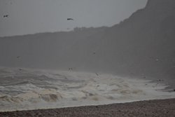 Strong wind at Budleigh Salterton Wallpaper