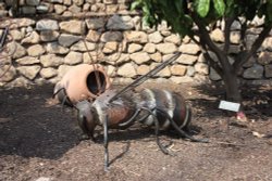 Eden Project