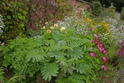 Sleightholmedale Lodge Garden, Fadmoor Wallpaper