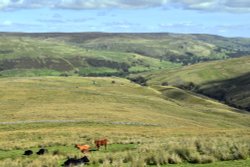 Buttertubs Pass near Muker Wallpaper