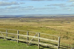 Swaledale Wallpaper