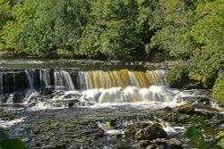 Aysgarth Falls Wallpaper