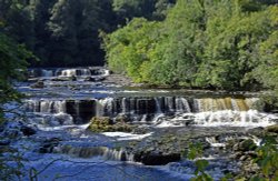 Aysgarth Falls Wallpaper