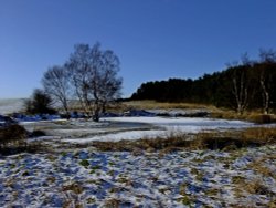 Tanfield in January 2010 Wallpaper