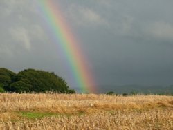 Tanfield rainbow Wallpaper