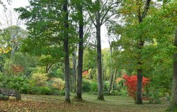 Ramster Gardens,  Chiddingfold Wallpaper