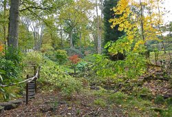 Ramster Gardens,  Chiddingfold Wallpaper