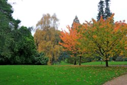 Autumn Bicton Wallpaper