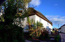 East Budleigh thatched cottages Wallpaper