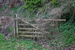 Budleigh's broken gate Wallpaper