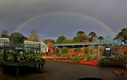 Bicton rainbow Wallpaper