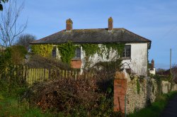 East Budleigh Frogmore Lane Wallpaper