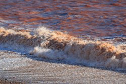 Red waves of Budleigh Wallpaper