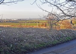 Gravesend and the Thames from Shorne Wallpaper