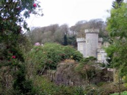 Caerhays Castle Wallpaper