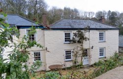 Glendurgan Gardens Wallpaper