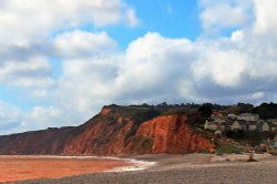 Budleigh March sunshine Wallpaper