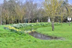 National Memorial Arboretum, Alrewas Wallpaper