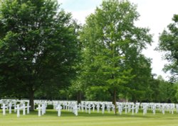 Crosses in the Cemetery, Cambridge American Cemetery Wallpaper