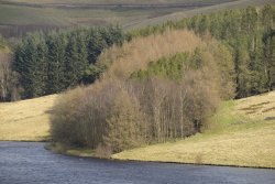 Errwood Reservoir, Peak District National Park, Buxton, Derbyshire Wallpaper