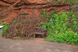 Budleigh Promenade benches Wallpaper