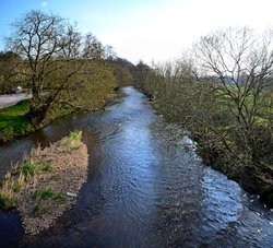 River Otter at Otterton Wallpaper