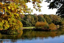 Dearne Valley Park, Barnsley Wallpaper