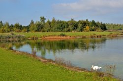 Anglers Country Park Wallpaper