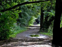 Riverside Walk, Sprotbrough Wallpaper