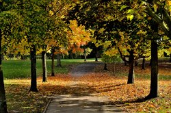 Locke Park, Barnsley Wallpaper