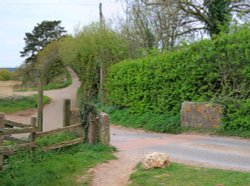 Pynes Farm, Budleigh Salterton Wallpaper