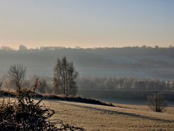 Heavy Frost at Cudworth Wallpaper