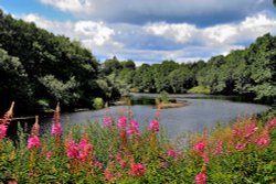 River North Tyne, Bellingham Wallpaper