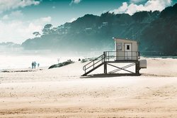 Branksome Chine Wallpaper