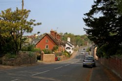 Budleigh Hill Wallpaper